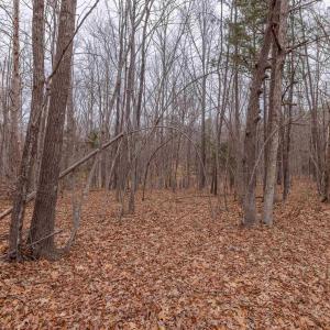 Photo #26 of Lot 1 PINEY GREEN RD, CREWE, VA 13.5 acres