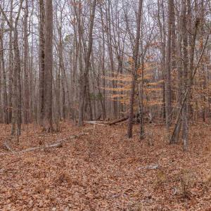Photo #29 of Lot 1 PINEY GREEN RD, CREWE, VA 13.5 acres