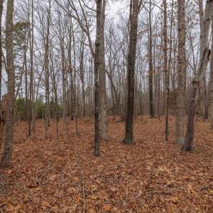Photo #25 of Lot 1 PINEY GREEN RD, CREWE, VA 13.5 acres