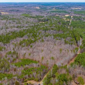 Photo #4 of Lot 1 PINEY GREEN RD, CREWE, VA 13.5 acres