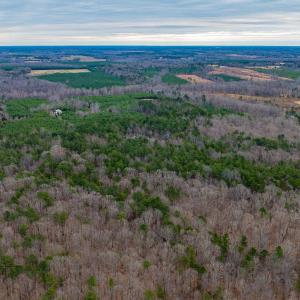 Photo #20 of Lot 1 PINEY GREEN RD, CREWE, VA 13.5 acres