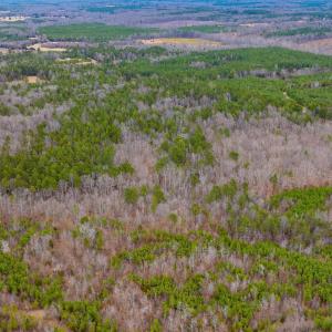 Photo #22 of Lot 1 PINEY GREEN RD, CREWE, VA 13.5 acres