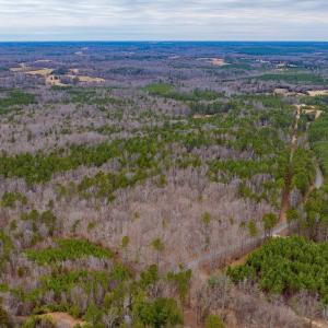Photo #1 of Lot 1 PINEY GREEN RD, CREWE, VA 13.5 acres
