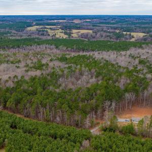 Photo #16 of Lot 3 PINEY GREEN RD, CREWE, VA 9.1 acres