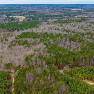 Photo #11 of Lot 3 PINEY GREEN RD, CREWE, VA 9.1 acres