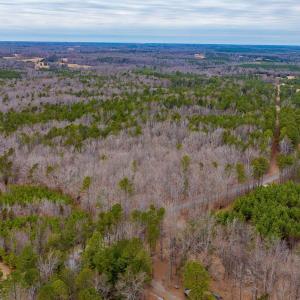 Photo #6 of Lot 3 PINEY GREEN RD, CREWE, VA 9.1 acres