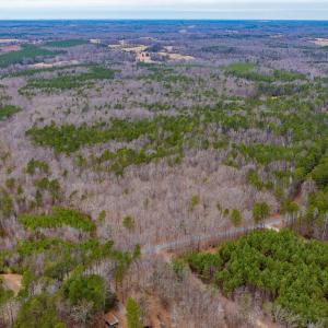 Photo #3 of Lot 3 PINEY GREEN RD, CREWE, VA 9.1 acres