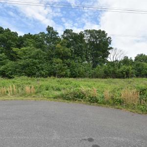 Photo #7 of 14315 WILLIS CT, ORANGE, VA 2.2 acres