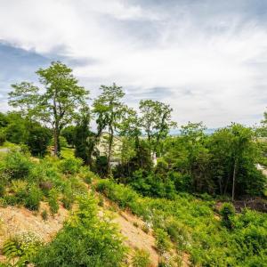 Photo #12 of VALLEY VIEW DR, MOUNT SIDNEY, VA 0.5 acres