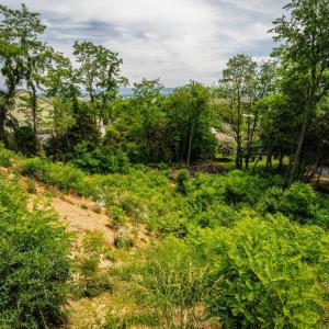 Photo #11 of VALLEY VIEW DR, MOUNT SIDNEY, VA 0.5 acres