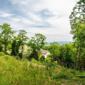 Photo #8 of VALLEY VIEW DR, MOUNT SIDNEY, VA 0.5 acres