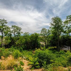 Photo #10 of VALLEY VIEW DR, MOUNT SIDNEY, VA 0.5 acres