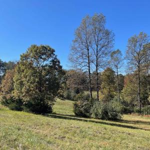 Photo #4 of TBD FRAYS MILL RD, RUCKERSVILLE, VA 8.1 acres