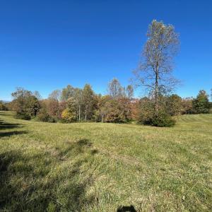 Photo #3 of TBD FRAYS MILL RD, RUCKERSVILLE, VA 8.1 acres