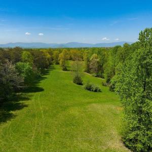 Photo #1 of TBD FRAYS MILL RD, RUCKERSVILLE, VA 8.1 acres