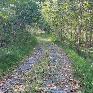 Photo #2 of TBD STONY POINT PASS, KESWICK, VA 56.5 acres