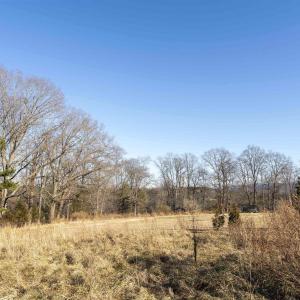 Photo #7 of WATTS PASSAGE, CHARLOTTESVILLE, VA 2.0 acres