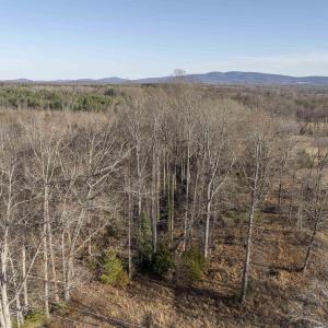 Photo #4 of WATTS PASSAGE, CHARLOTTESVILLE, VA 2.0 acres