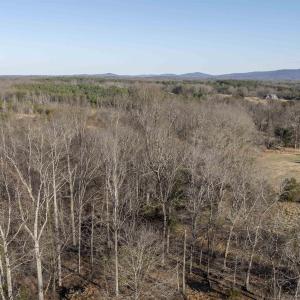 Photo #11 of WATTS PASSAGE, CHARLOTTESVILLE, VA 2.0 acres