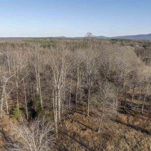 Photo #3 of WATTS PASSAGE, CHARLOTTESVILLE, VA 2.0 acres