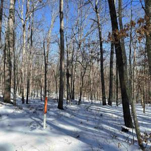 Photo #1 of 02 BEAVERDAM RD, KESWICK, VA 6.9 acres
