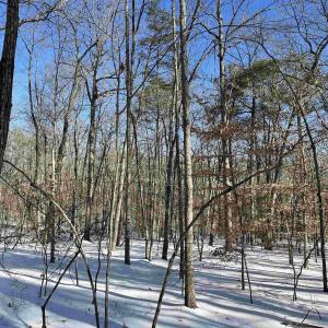 Photo #4 of 02 BEAVERDAM RD, KESWICK, VA 6.9 acres