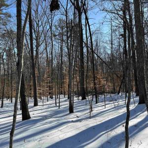 Photo #6 of 02 BEAVERDAM RD, KESWICK, VA 6.9 acres