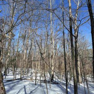 Photo #3 of 02 BEAVERDAM RD, KESWICK, VA 6.9 acres