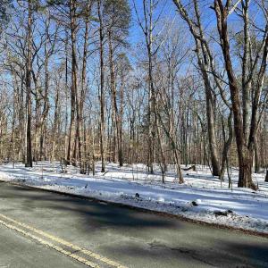 Photo #7 of 02 BEAVERDAM RD, KESWICK, VA 6.9 acres