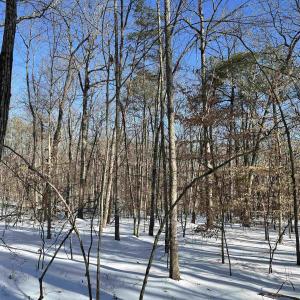 Photo #5 of 02 BEAVERDAM RD, KESWICK, VA 6.9 acres