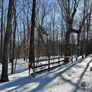 Photo #6 of 001 BEAVER DAM RD, KESWICK, VA 7.0 acres