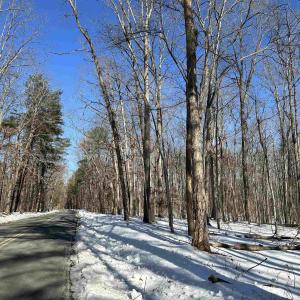 Photo #11 of 001 BEAVER DAM RD, KESWICK, VA 7.0 acres
