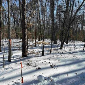 Photo #3 of 001 BEAVER DAM RD, KESWICK, VA 7.0 acres