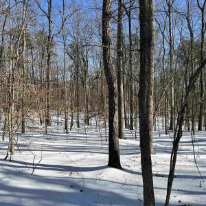 Photo #8 of 001 BEAVER DAM RD, KESWICK, VA 7.0 acres