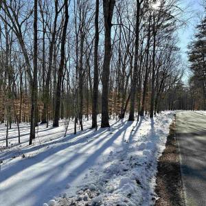 Photo #4 of 001 BEAVER DAM RD, KESWICK, VA 7.0 acres