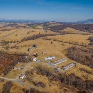 Photo #24 of 15854 FORESTVILLE RD, TIMBERVILLE, VA 12.3 acres
