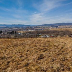 Photo #38 of 15854 FORESTVILLE RD, TIMBERVILLE, VA 12.3 acres