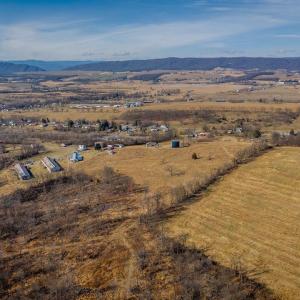 Photo #18 of 15854 FORESTVILLE RD, TIMBERVILLE, VA 12.3 acres