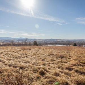 Photo #4 of 15854 FORESTVILLE RD, TIMBERVILLE, VA 12.3 acres