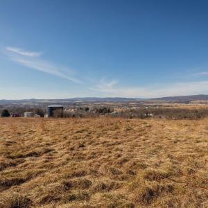 Photo #3 of 15854 FORESTVILLE RD, TIMBERVILLE, VA 12.3 acres