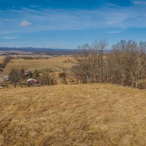 Photo #36 of 15854 FORESTVILLE RD, TIMBERVILLE, VA 12.3 acres