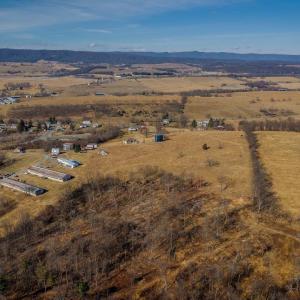 Photo #19 of 15854 FORESTVILLE RD, TIMBERVILLE, VA 12.3 acres