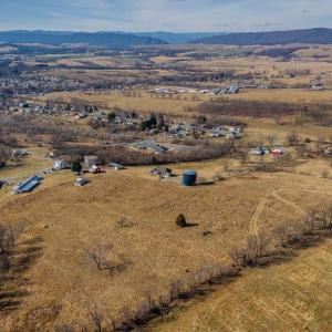 Photo #16 of 15854 FORESTVILLE RD, TIMBERVILLE, VA 12.3 acres