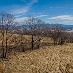 Photo #35 of 15854 FORESTVILLE RD, TIMBERVILLE, VA 12.3 acres