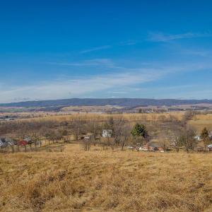 Photo #6 of 15854 FORESTVILLE RD, TIMBERVILLE, VA 12.3 acres