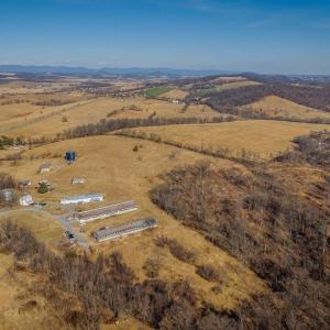 Photo #23 of 15854 FORESTVILLE RD, TIMBERVILLE, VA 12.3 acres