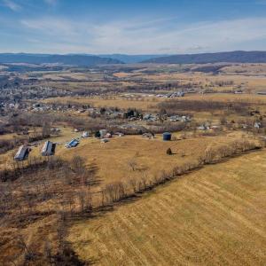 Photo #17 of 15854 FORESTVILLE RD, TIMBERVILLE, VA 12.3 acres