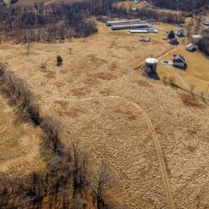 Photo #14 of 15854 FORESTVILLE RD, TIMBERVILLE, VA 12.3 acres