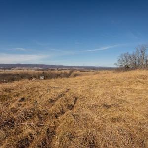 Photo #5 of 15854 FORESTVILLE RD, TIMBERVILLE, VA 12.3 acres