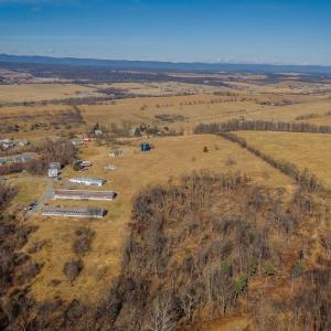 Photo #21 of 15854 FORESTVILLE RD, TIMBERVILLE, VA 12.3 acres